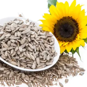 Locally Toasted Sunflower Seeds (Lightly Salted)